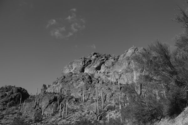 Arizona Image 1, Black & White Structure - Arizona