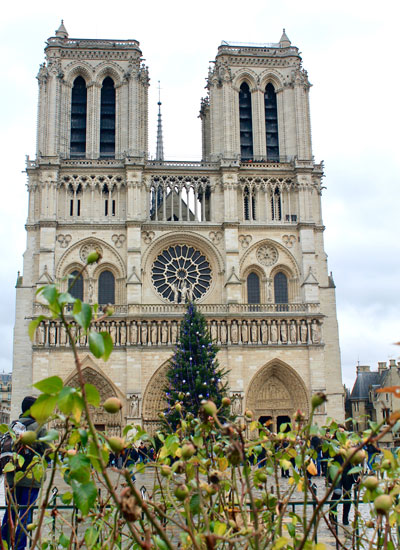 Notre-Dame - Paris, France *Before Fire