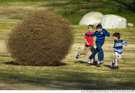 Tumbleweeds