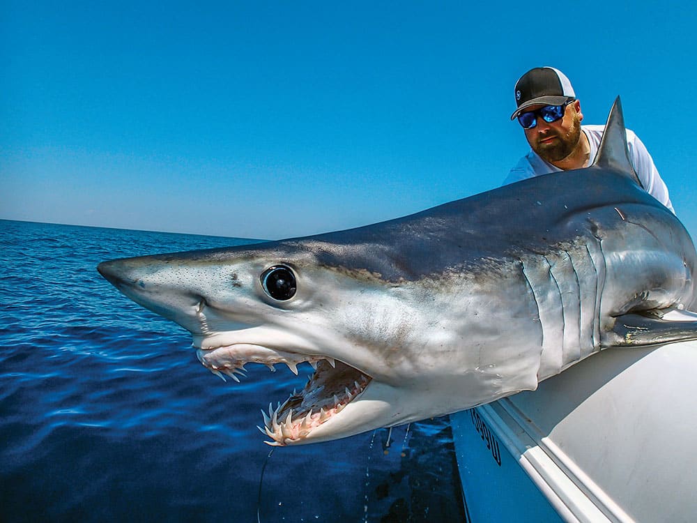 A picture of a mako shark next to man in boat